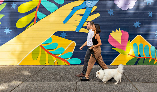 A couple walking a dog
